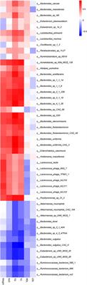 Modulation of Gut Microbiota and Metabolites by Berberine in Treating Mice With Disturbances in Glucose and Lipid Metabolism